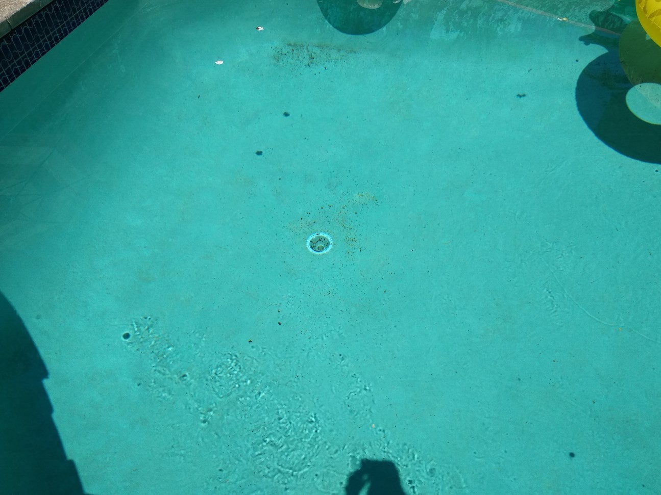 Pool Drain Cover Replacement Mike the Poolman