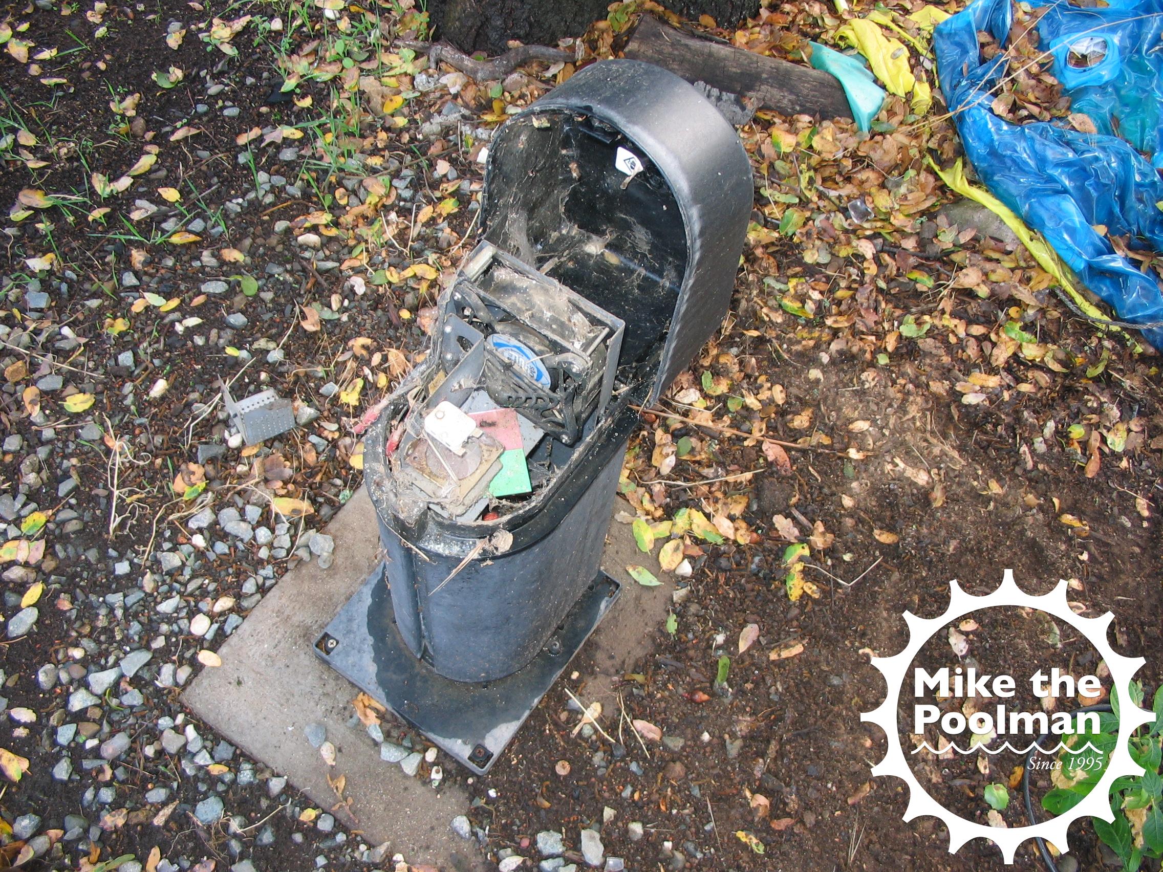 Fiber optic pool light upgrade • Mike the Poolman