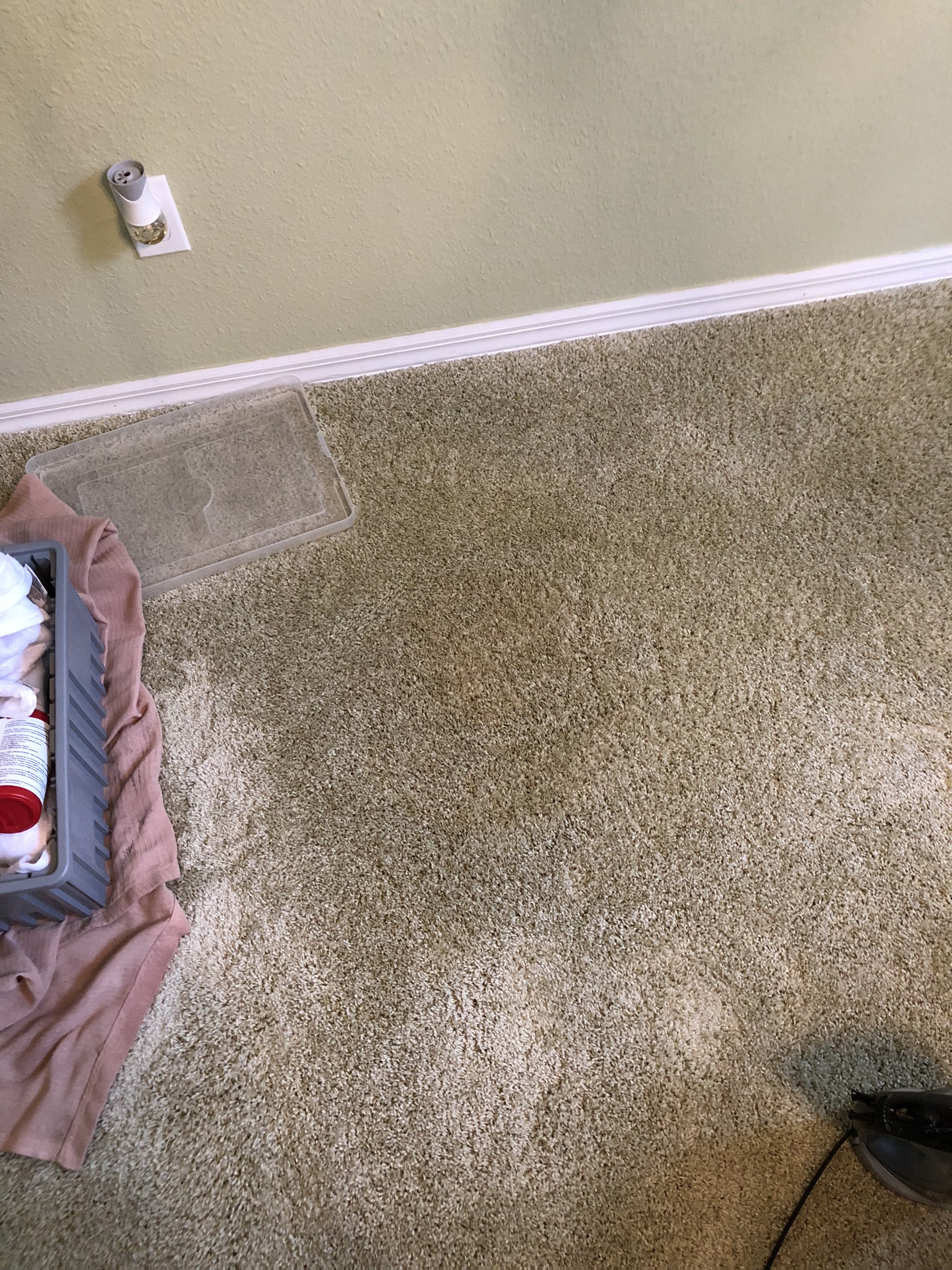 Furniture Stain Removal Suggestions Mikey's Board