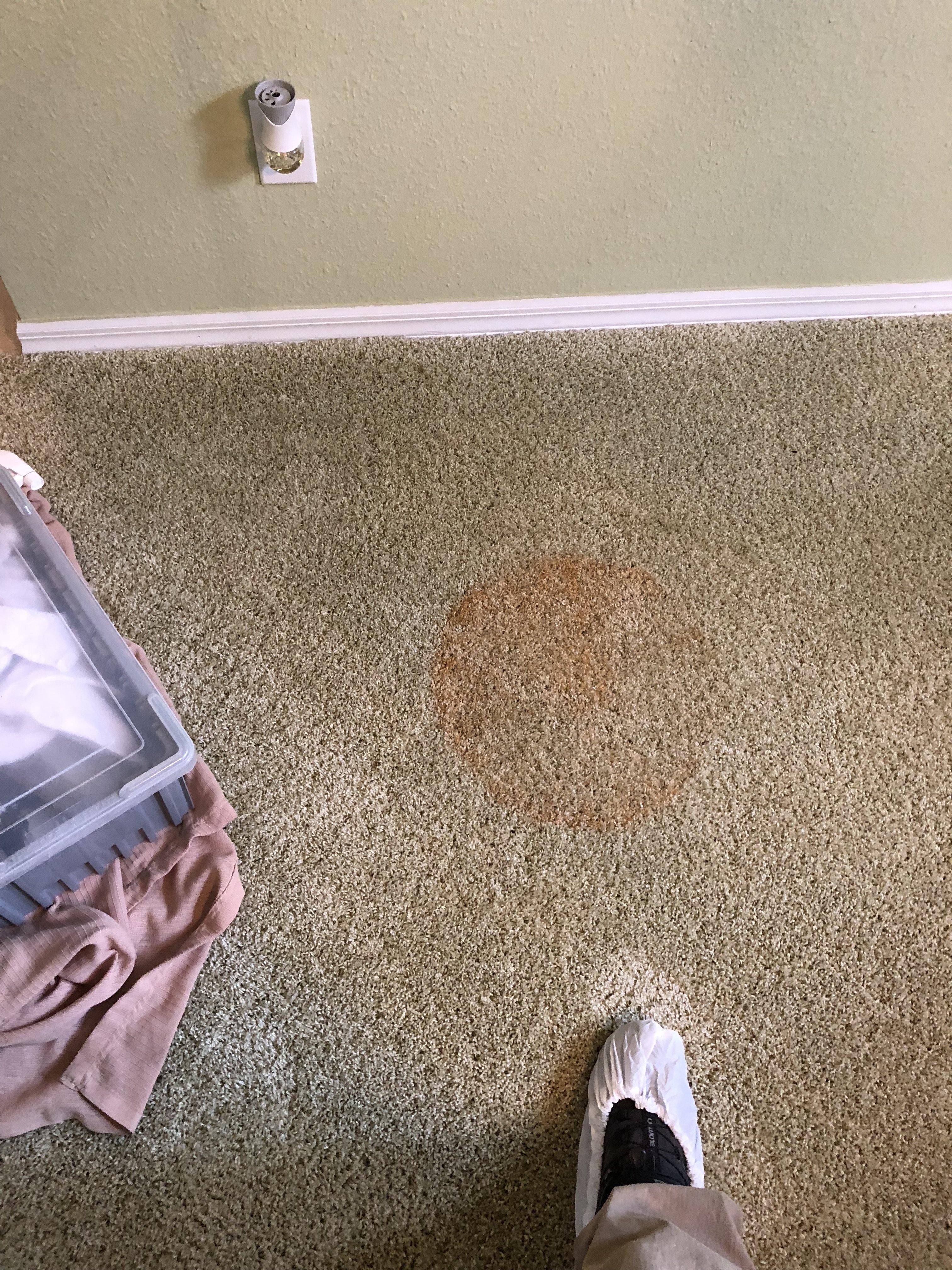 Furniture Stain Removal Suggestions Mikey's Board