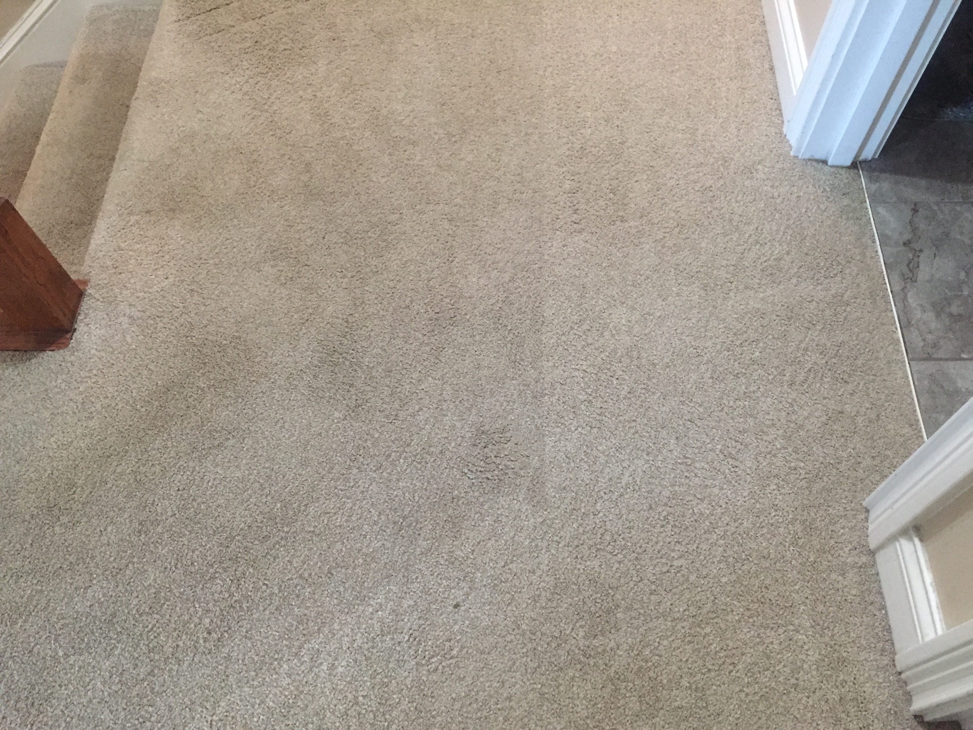 How To Remove Residue From Carpet Protector