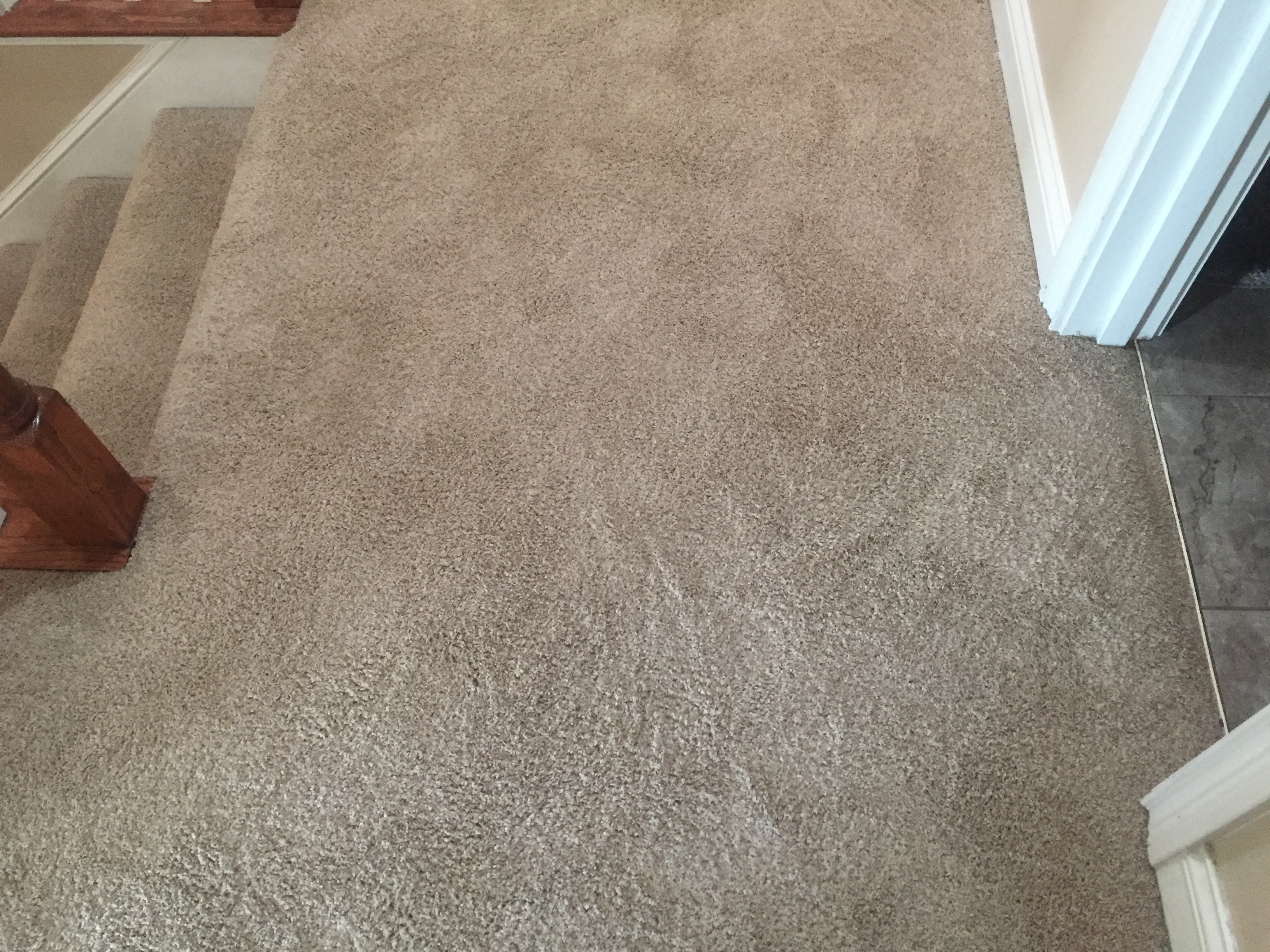 How To Remove Residue From Carpet Protector