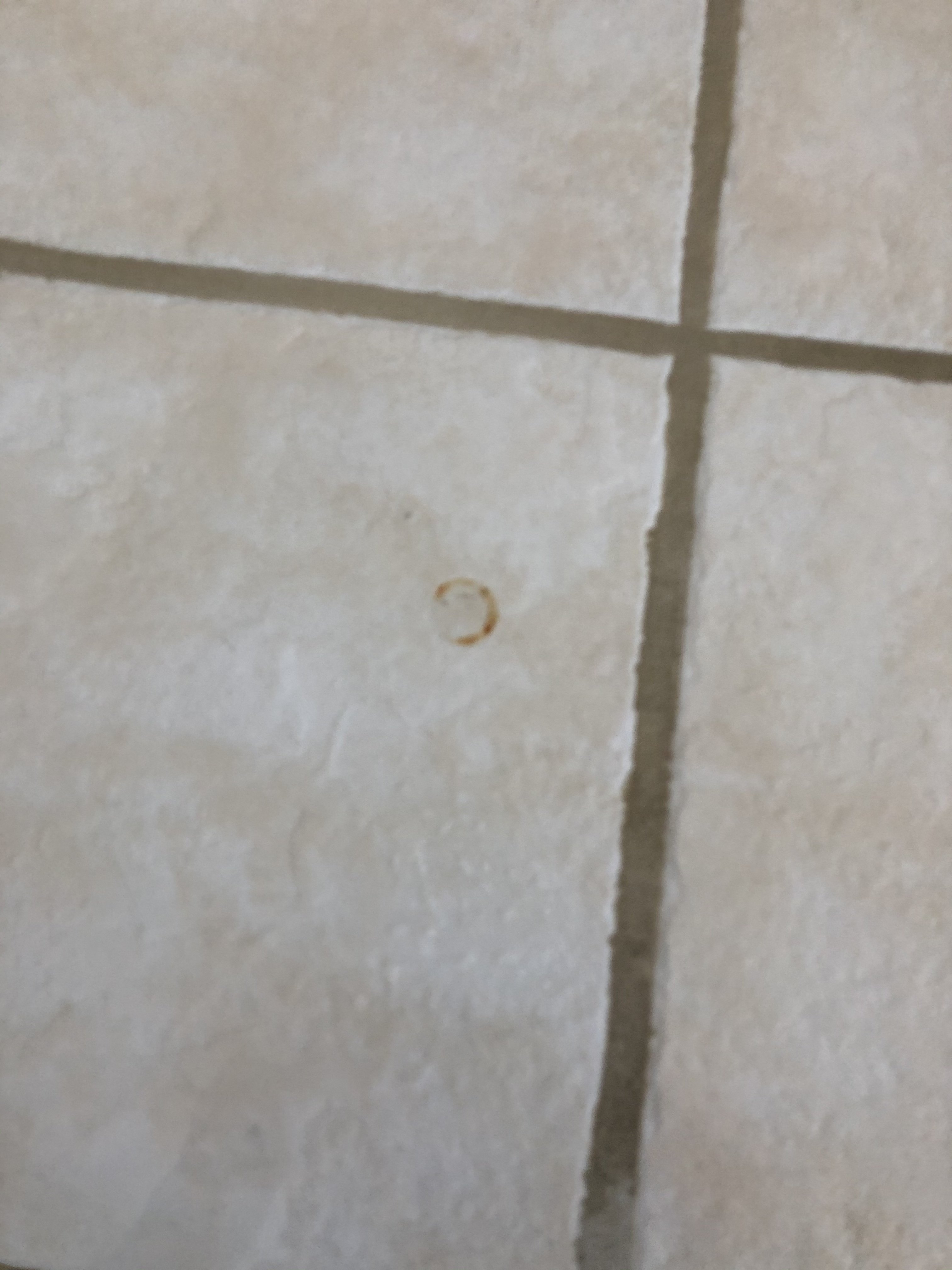 Rust on porcelain Mikey's Board