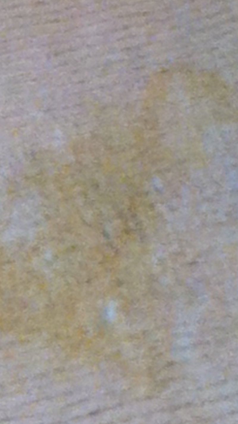 Yellow Urine Stain On Wool Carpet