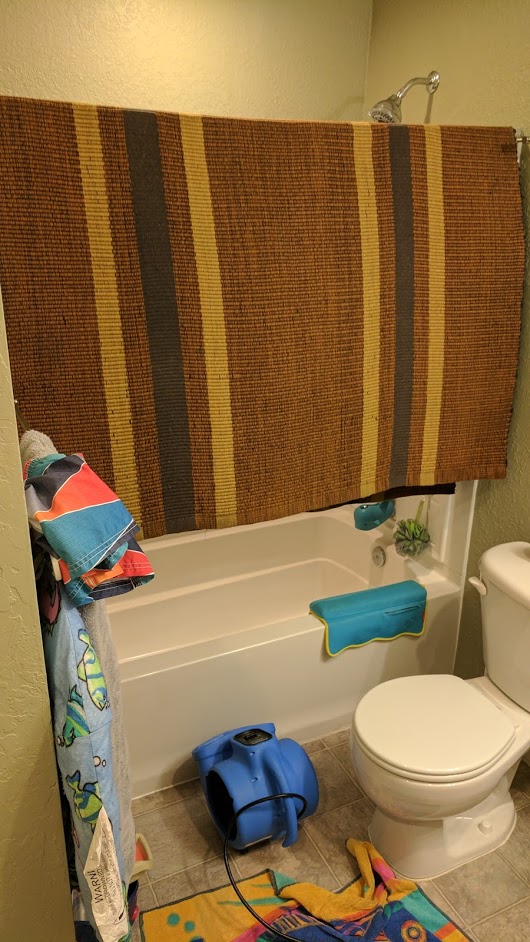 How do you dry area rugs in the home?... Mikey's Board