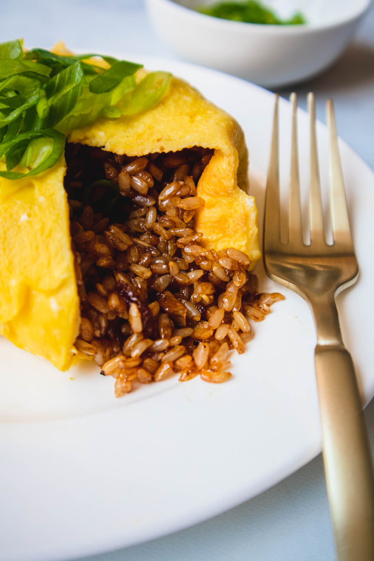 Adobo Fried Rice Omelette Mikha Eats