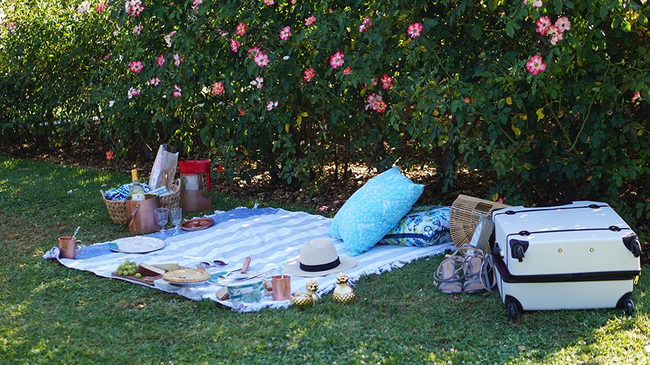 How to Host a Perfect Picnic mikialamode