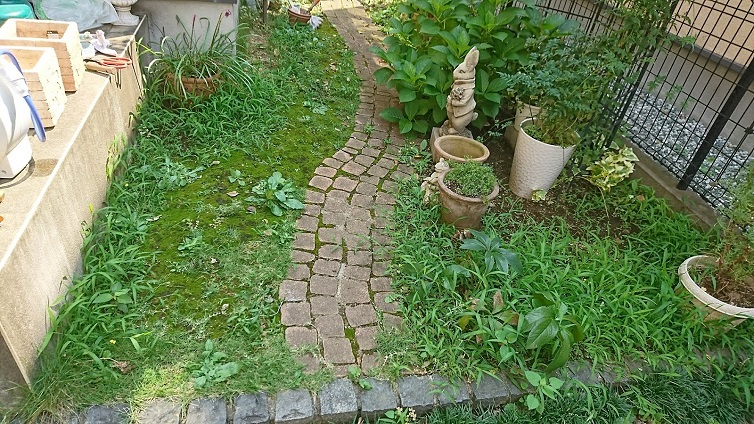 夏に向かってお庭のお手入れをしました Gallery Miko Nonno