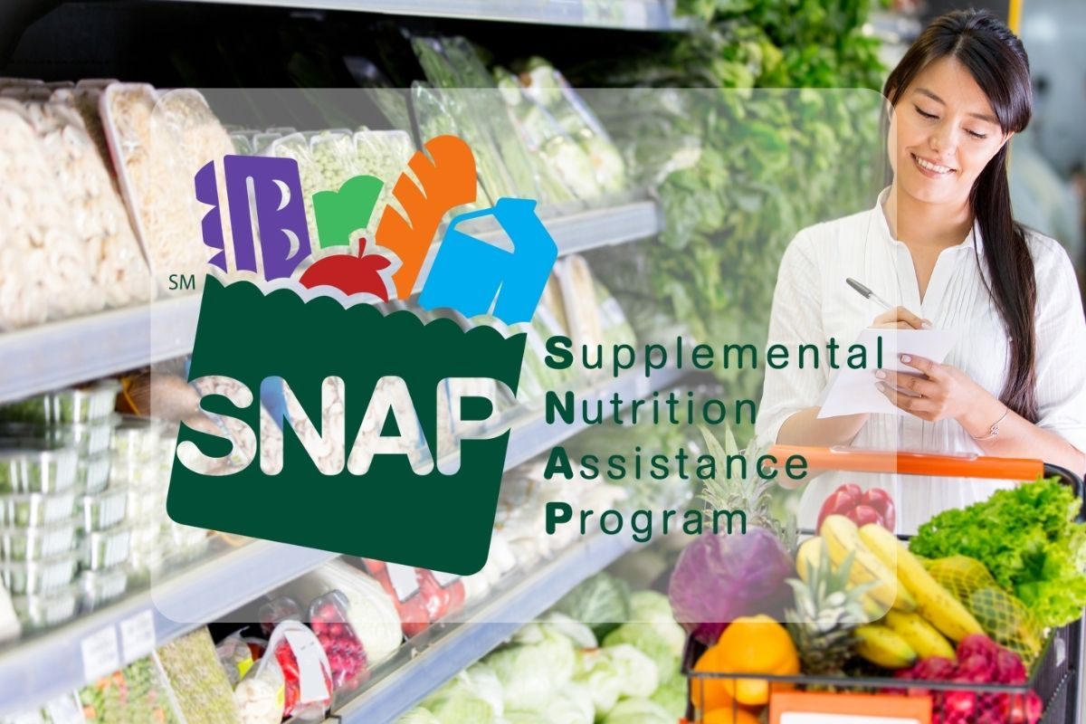 How to Apply for US Food Stamps Program Everything You Need to Know