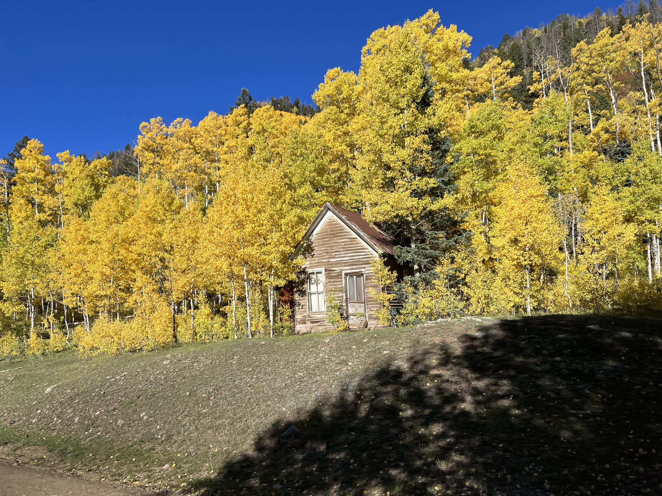 Excellent trip with Jerry! Mild To Wild Rafting