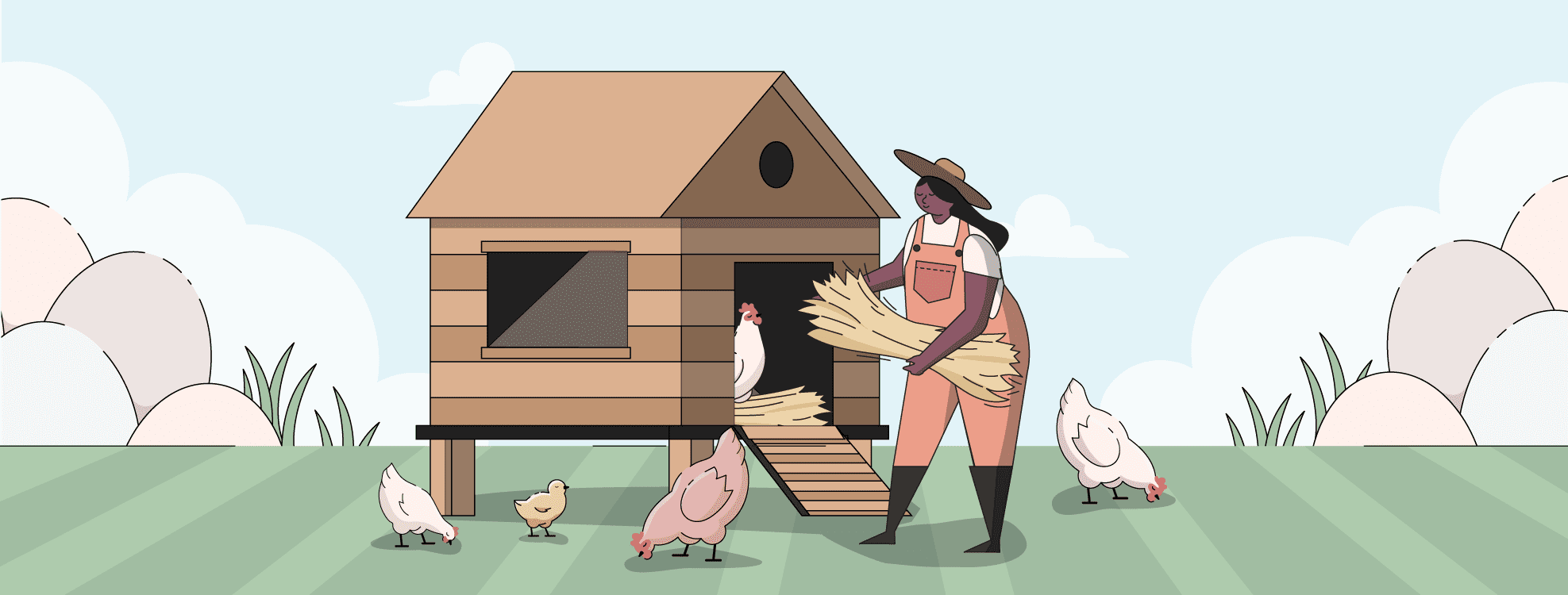 Chicken Coop Bedding How to Choose the Best Coop Bedding Mile Four