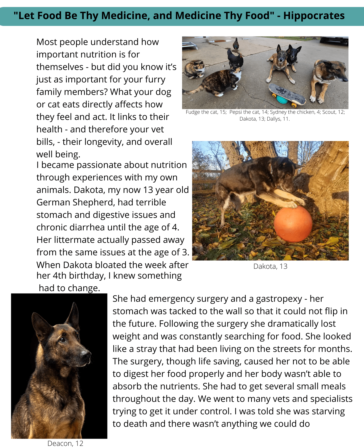 THE IMPORTANCE OF NUTRITION Mile High K9