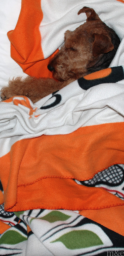 Are You Warm Enough? Miles & Emma