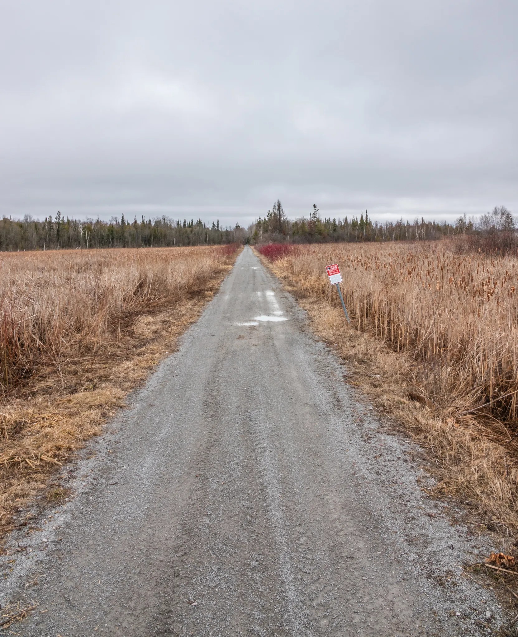 Manilla, Ontario Early Spring, 2020 Miles Hearn