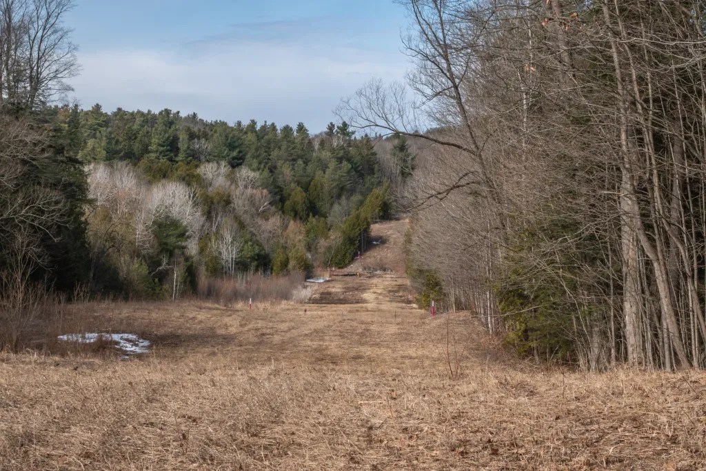 Stephen's Gulch Conservation Area March 18, 2020 Miles Hearn