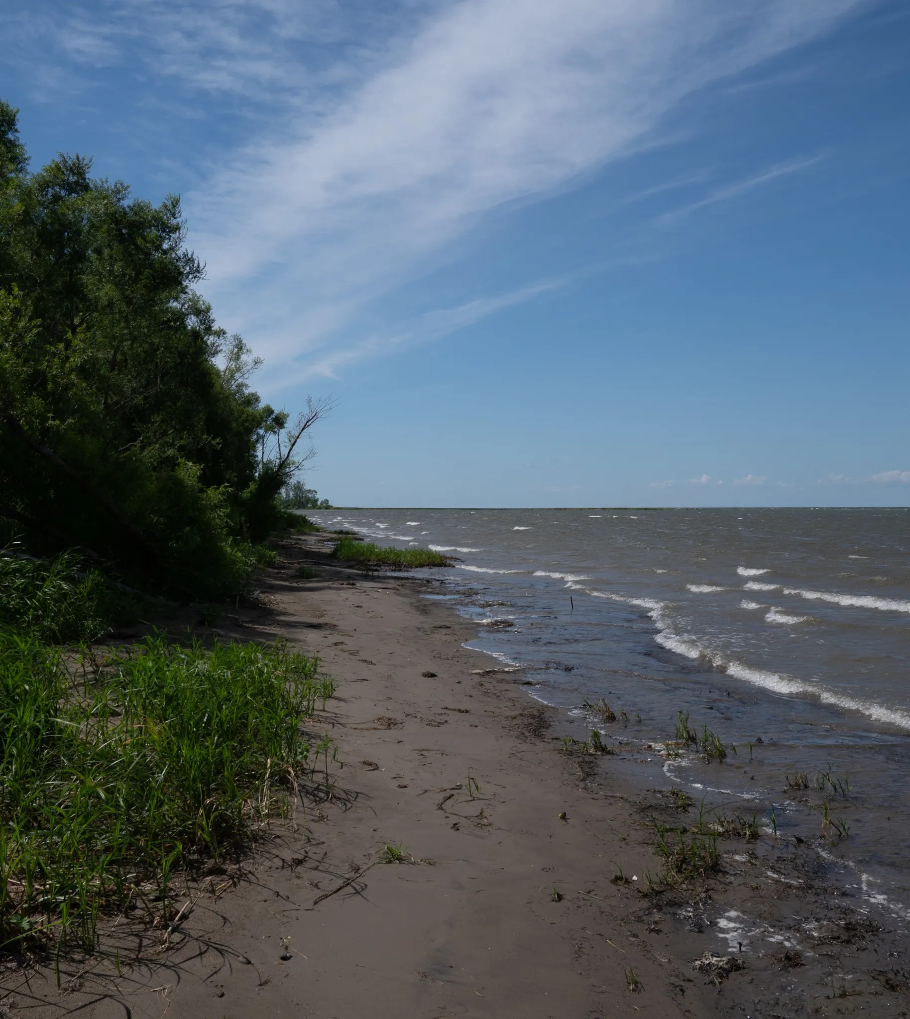 Nicolet Parc Écologique de L’Anse du Port August 2021 Miles Hearn