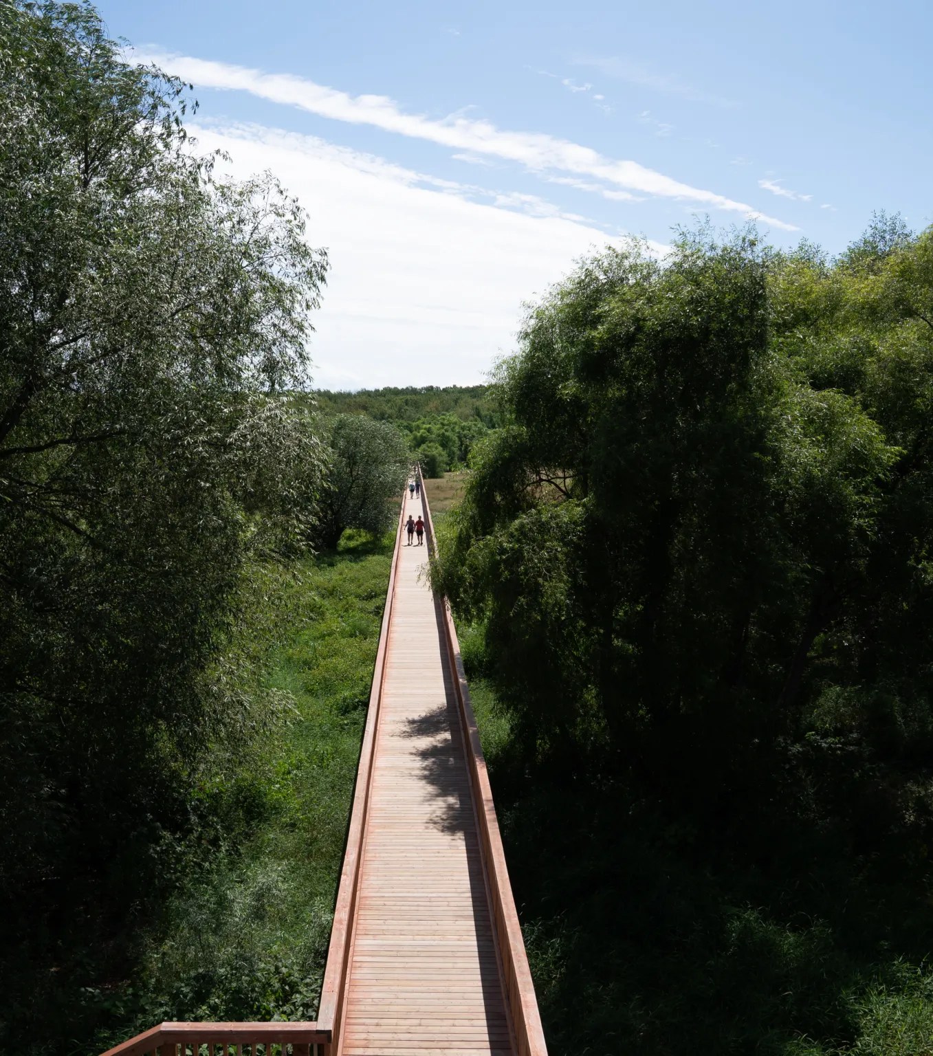 Nicolet Parc Écologique de L’Anse du Port August 2021 Miles Hearn
