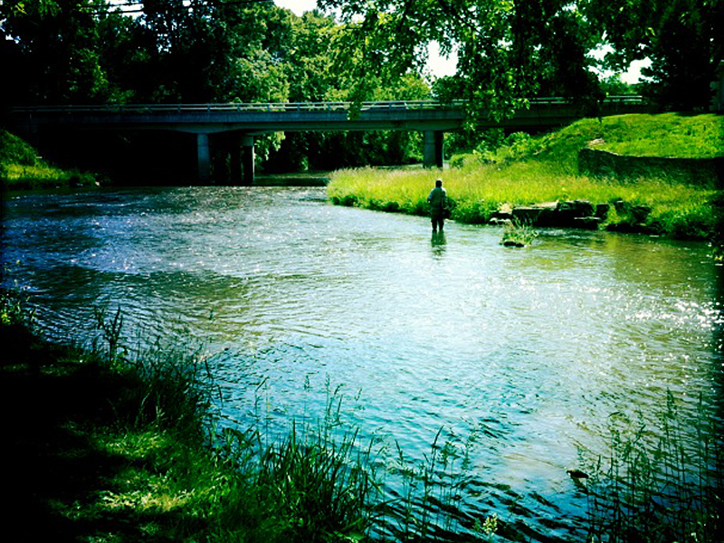 Sugar River I Miles Paddled