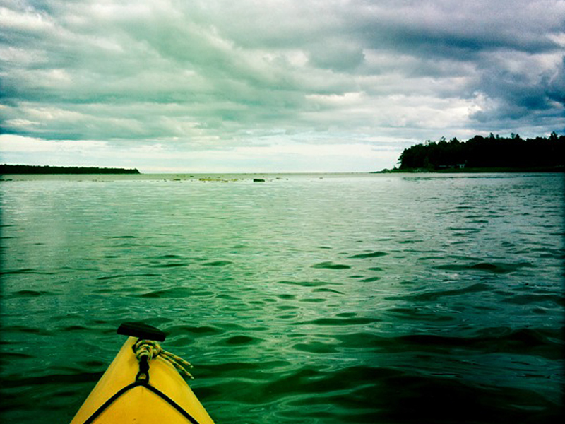 Mink River Miles Paddled