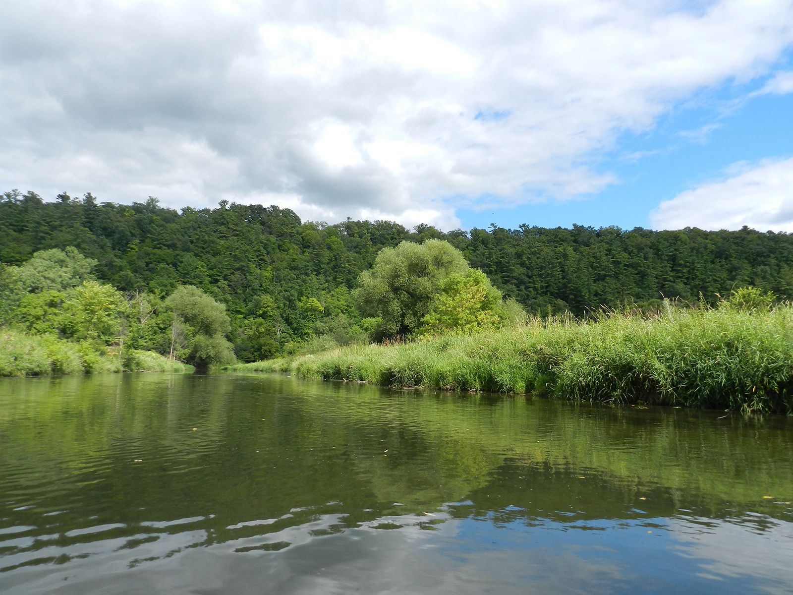 Eau Galle River Miles Paddled