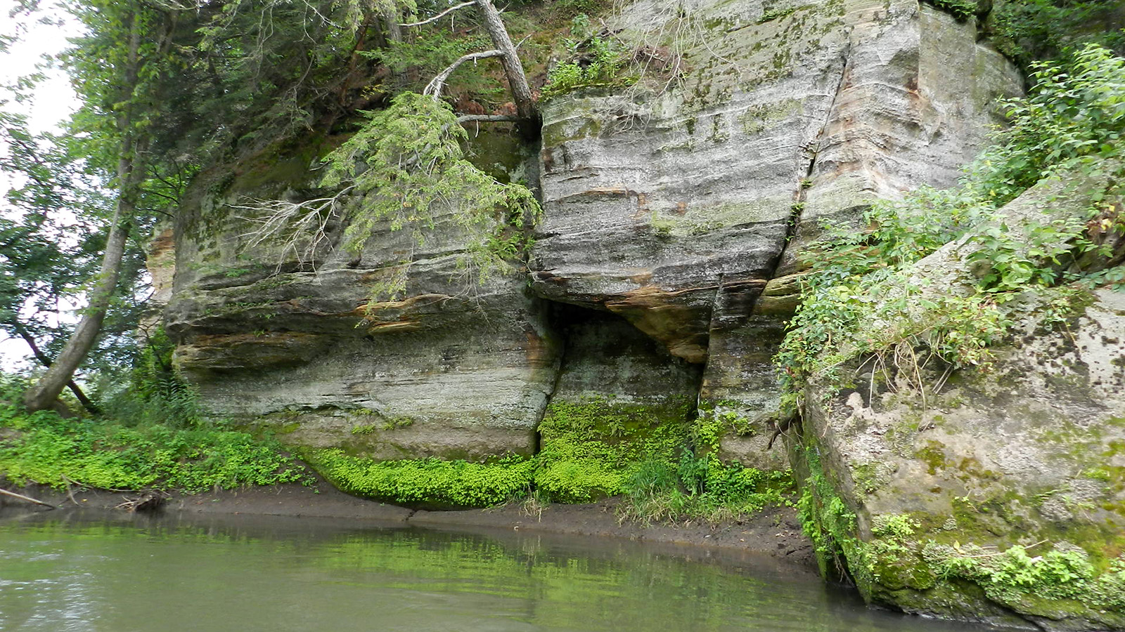 Pine River I (Richland County) Miles Paddled