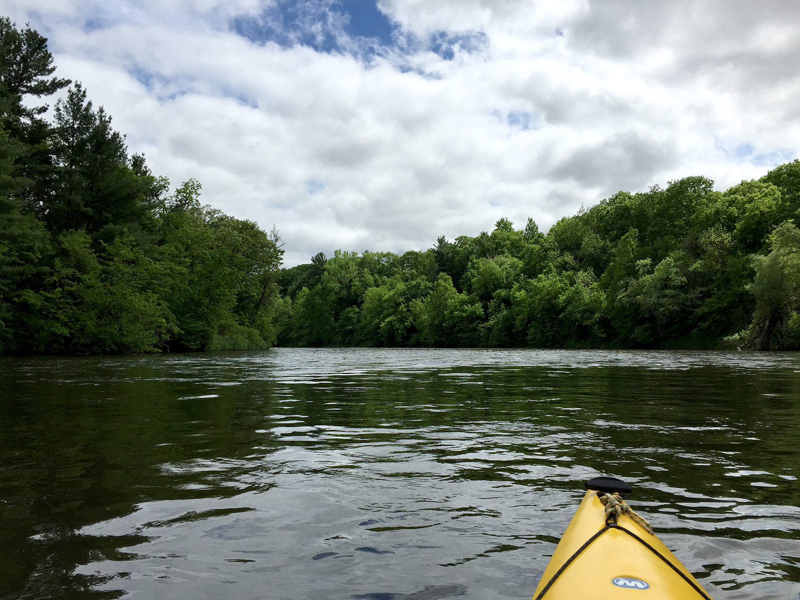 Red Cedar River I Miles Paddled
