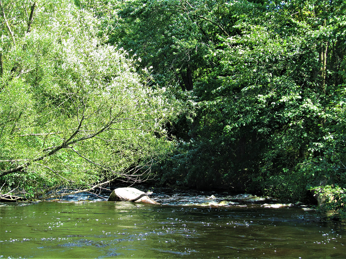 Embarrass River Middle Branch Miles Paddled