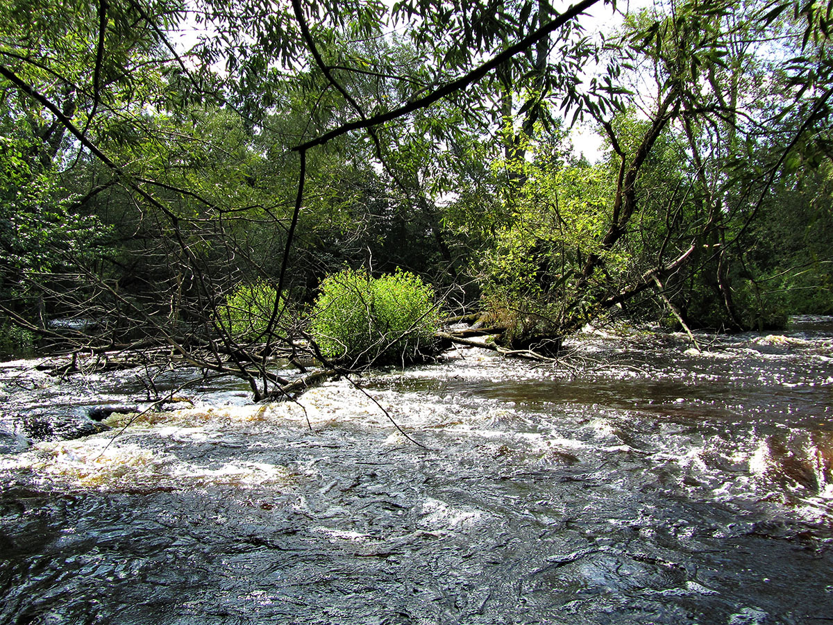 Embarrass River Middle Branch Miles Paddled