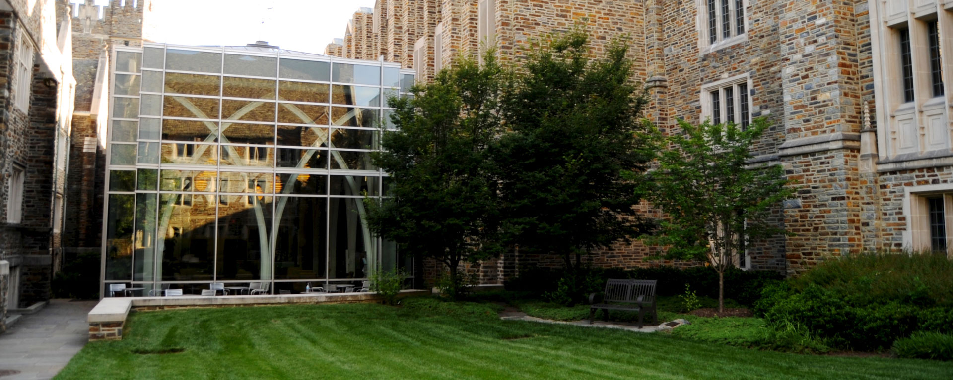 Perkins Library The Milestone Group