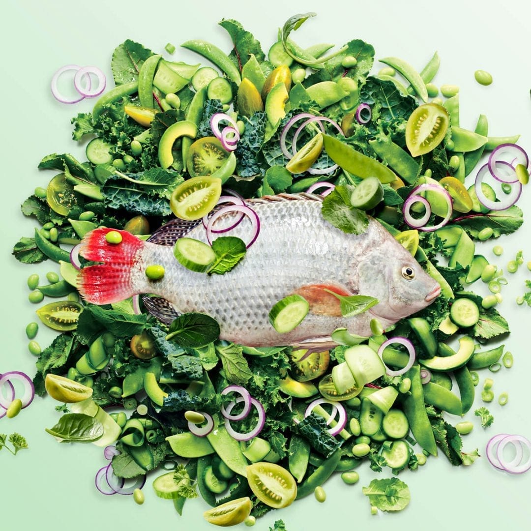 High Liner Culinary Milestone Integrated Marketing