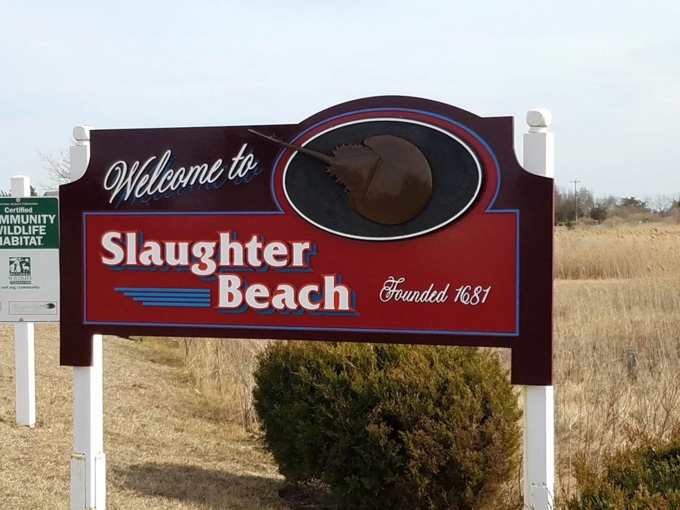 Slaughter Beach approves sewer district resolution Milford LIVE