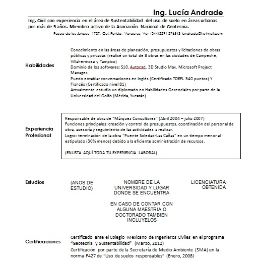 Curriculum Vitae Ingeniero Civil > Ejemplos, Formatos y