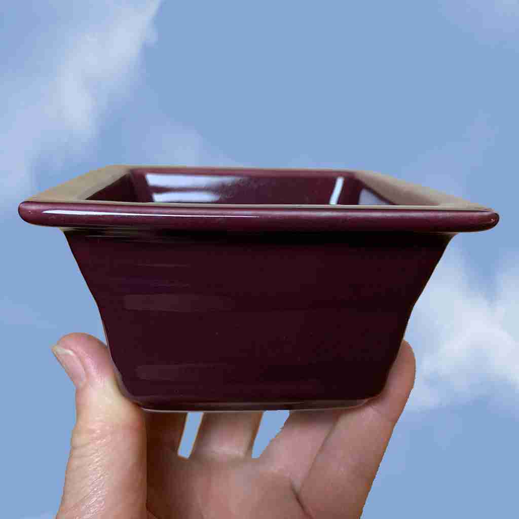 Claret Fiestaware Box with Drain Hole Linda S. Gribko