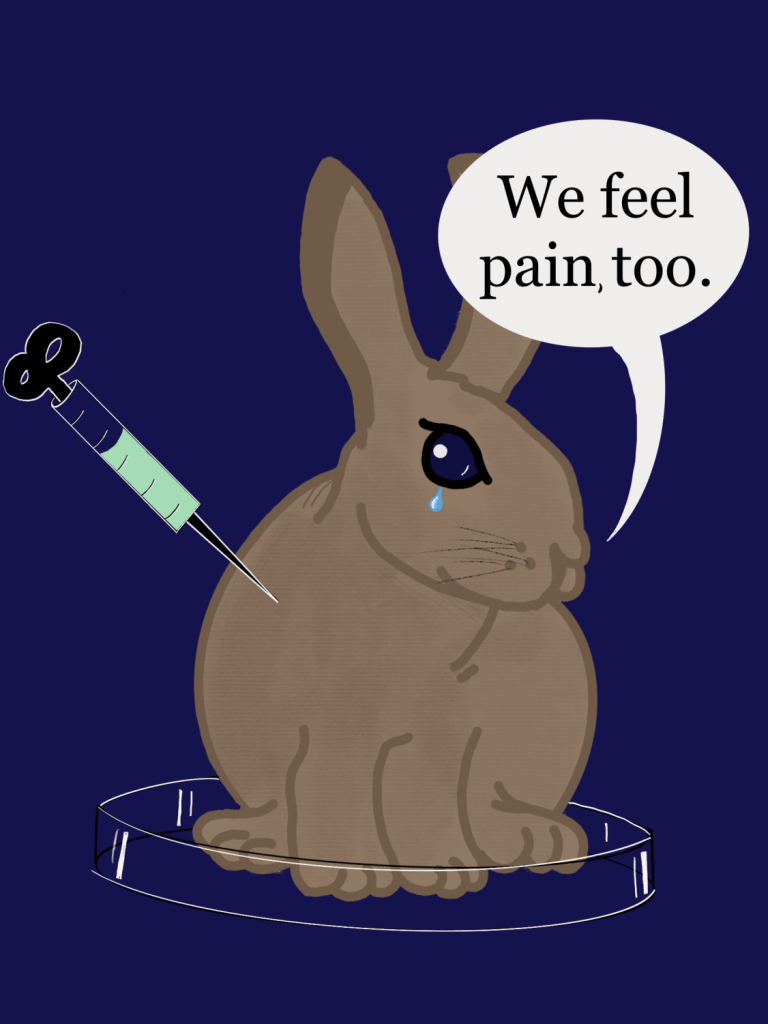 Animal Testing The Catalyst