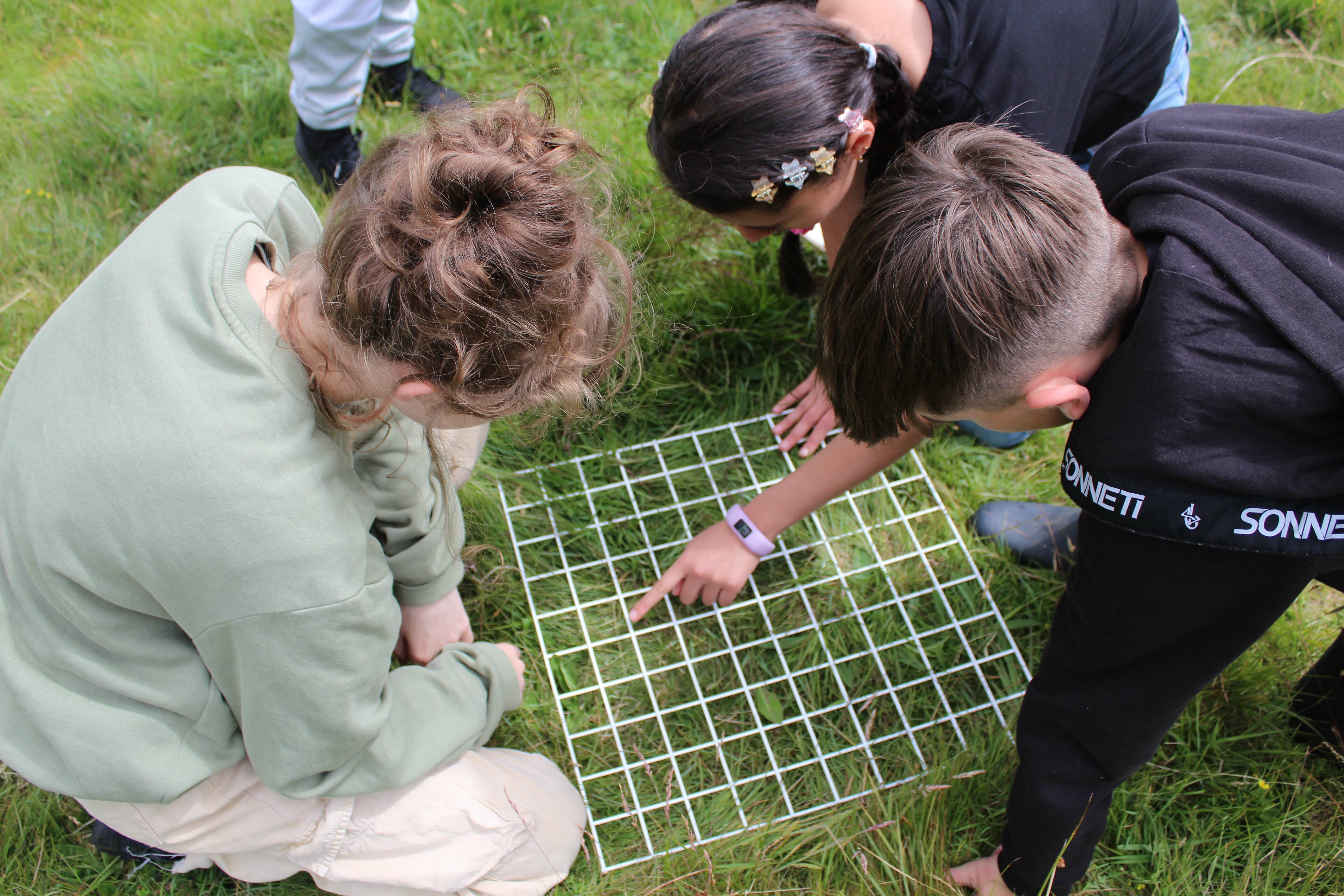 Shallowford Farm Trip Millbay Academy