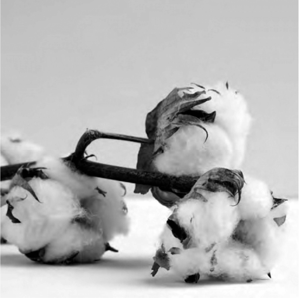 Millbrook Beds Discover the secret of perfect sleep