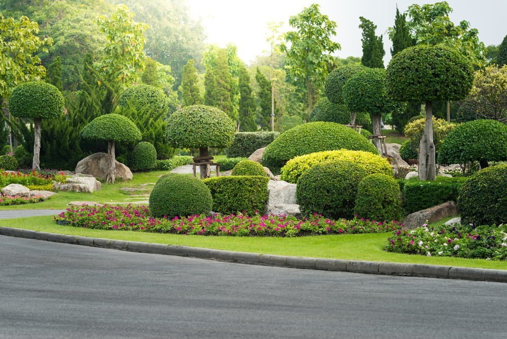 Top 10 Landscaping Trees for Fabulous Fall Color Millcreek Gardens