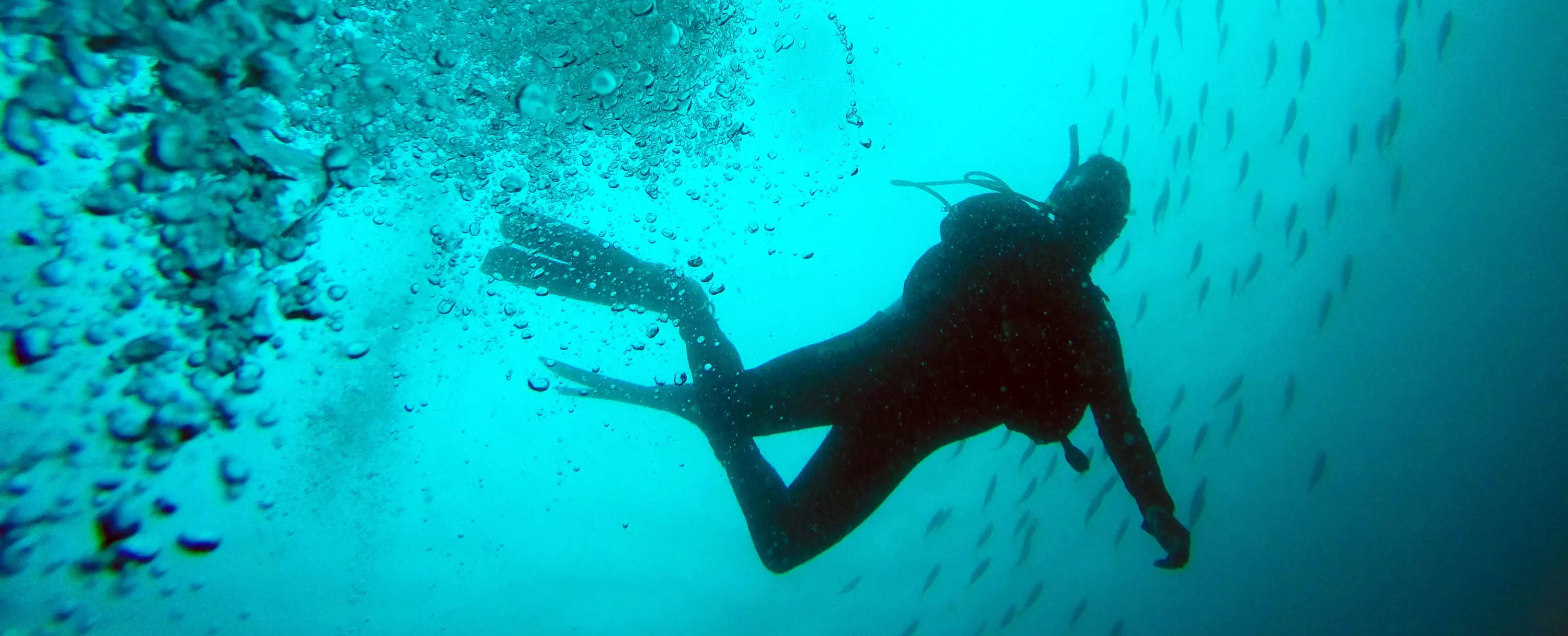 Top 14 Best Quartz Dive Watches [List & Guide] Millenary Watches