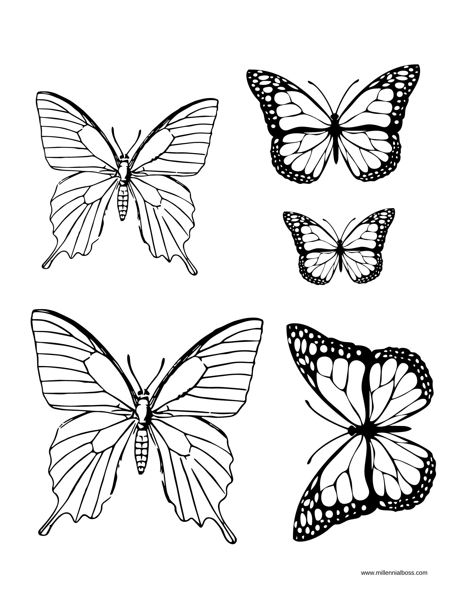 Butterfly Drawing (2) Millennial Boss