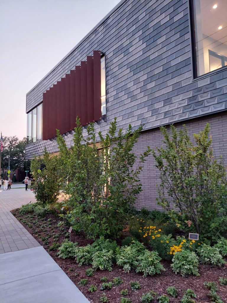 Linda Sokol Francis Brookfield Library Millennium Forms