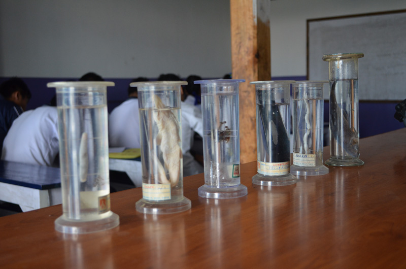 Laboratories MILLENNIUM INSTITUTE OF SCIENCES