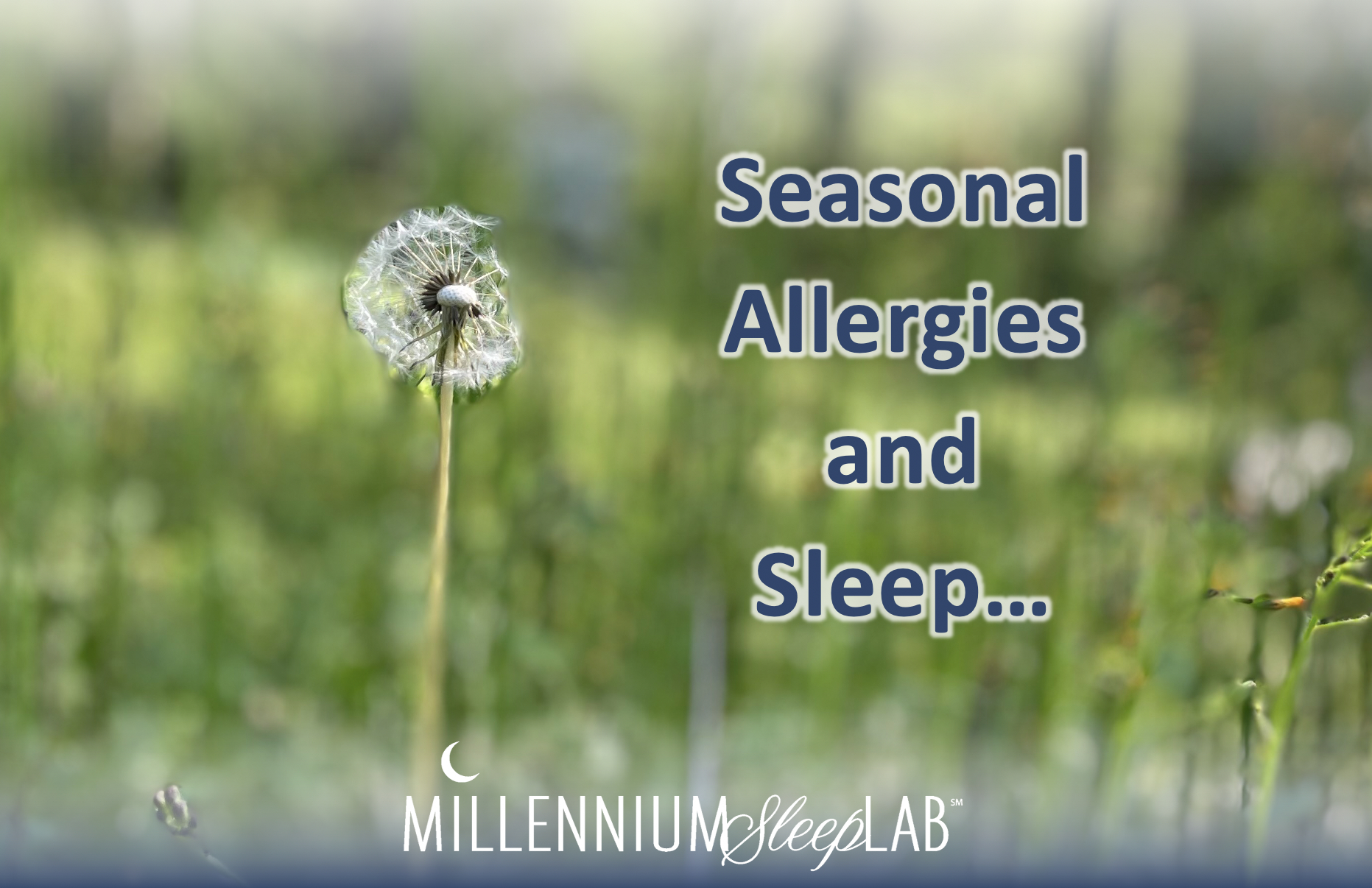 Allergies and Sleep Apnea in the Spring Millennium Sleep Lab
