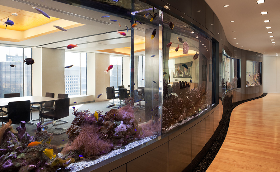 Baron Capital Management MillerBlaker