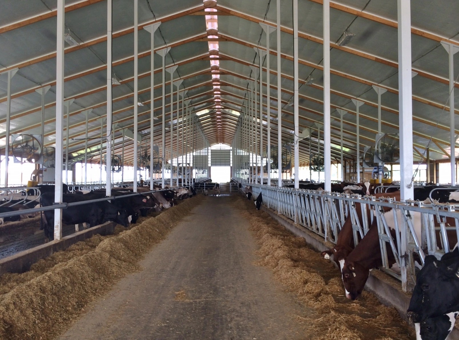 Dairy Facilities Miller Construction