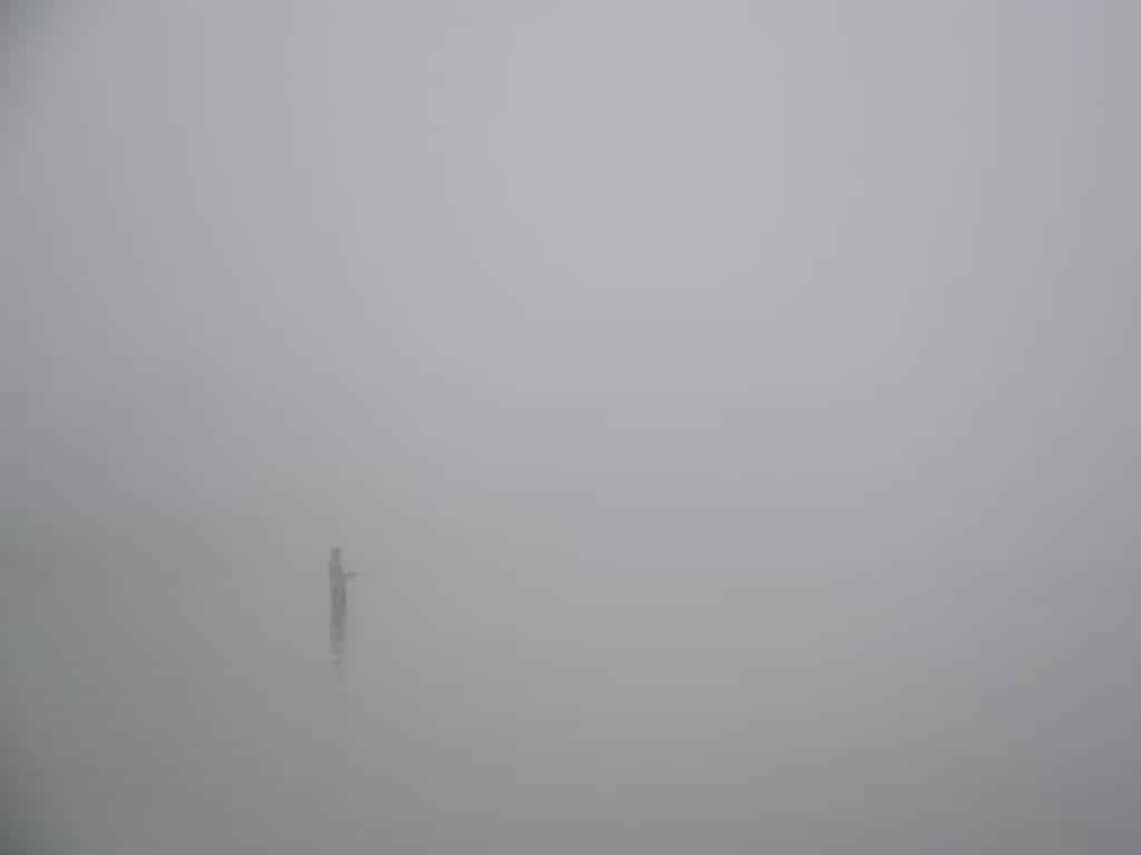 David M. Buday Attorney Miller Johnson Employment Kalamazoo