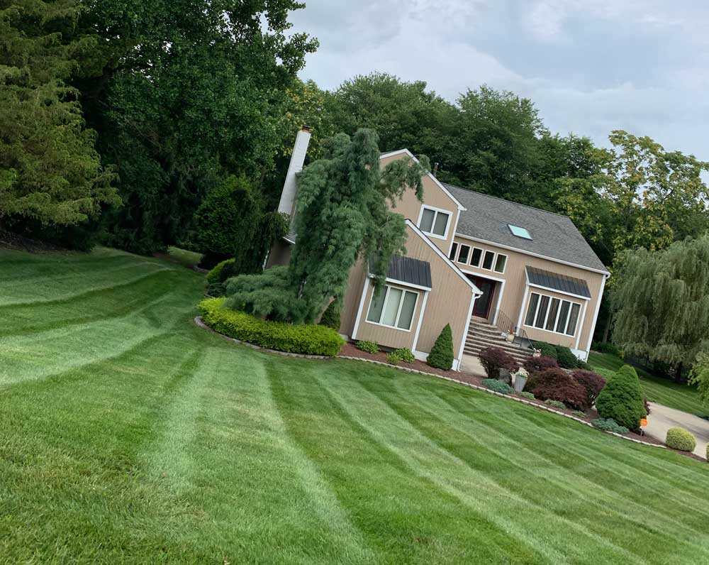 Lawn Care & Maintenance Services in New Jersey Miller's Landscaping