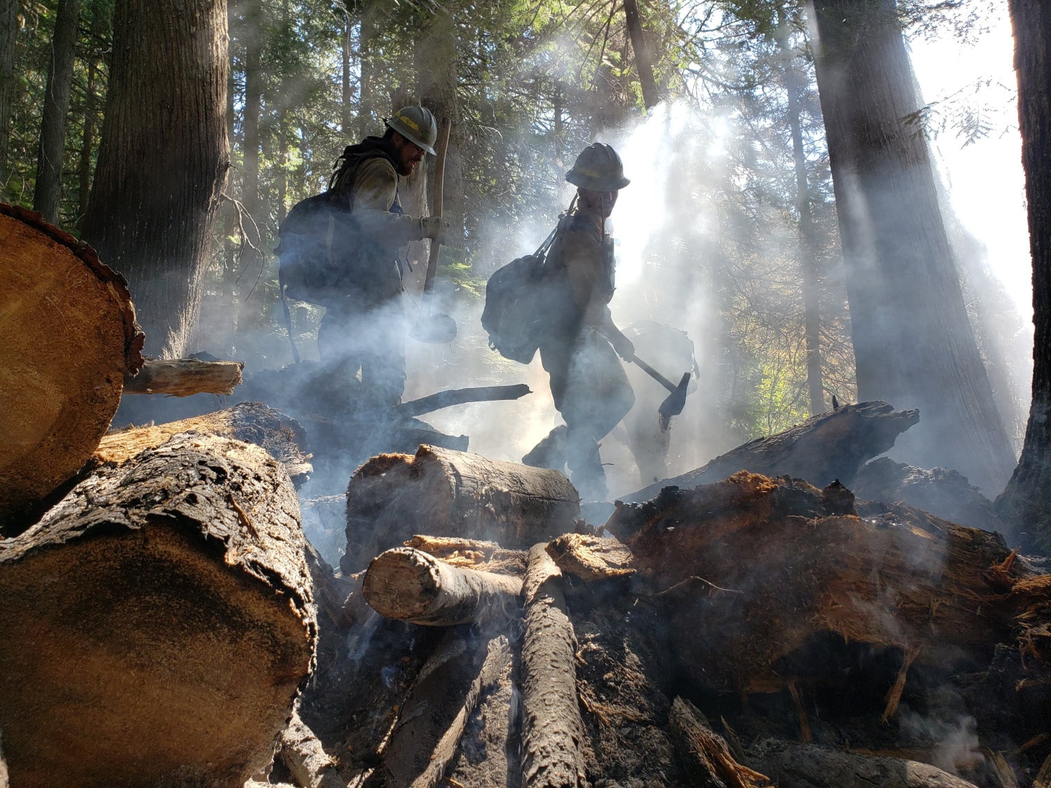 Wildland Firefighter Jobs and Openings in Oregon Miler Timber