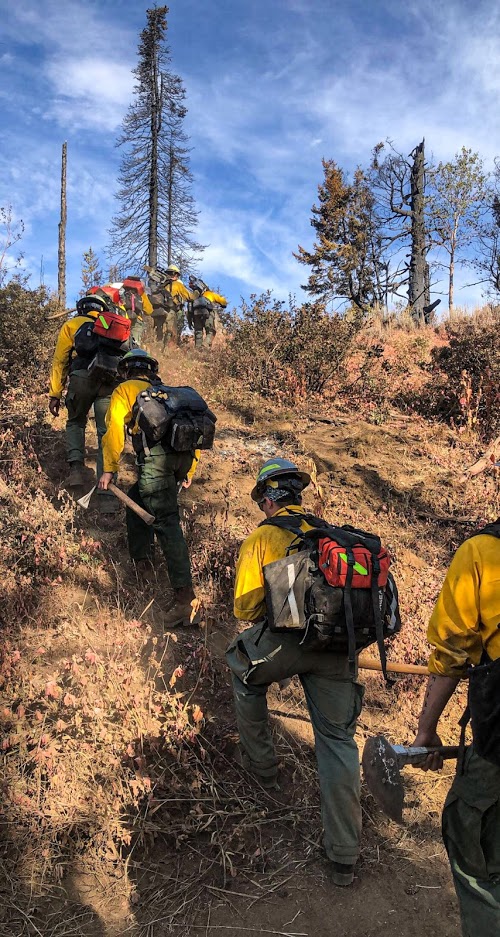 Wildland Fire Jobs Miller Timber Services