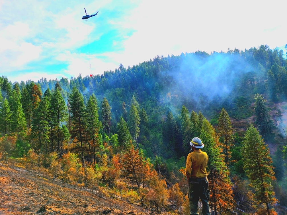 Wildland Fire Jobs Miller Timber Services
