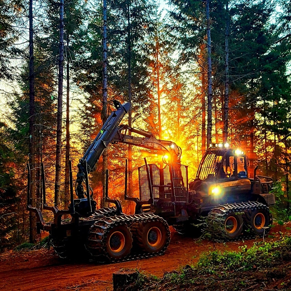 Forestry Jobs Miller Timber Services